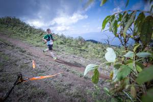 BIB: 5006
                            <button type="button" onclick="openModal(15955144)" class="btn btn-primary btn-sm float-right btn-popup" data-toggle="modal" data-target=".modal-high-quality">
                        <i class="fas fa-shopping-cart"></i> Add to Cart
                    </button>
                                            <button type="button" onclick="isThisMe(15955144, true)" class="btn btn-success btn-sm float-right btn-popup btn-isme hidden" data-toggle="tooltip" data-placement="bottom" title="นี่คือรูปของคุณใช่ไหม คลิกที่นี่เพื่อเอาเข้าอัลบั้ม">
                        <i class="fas fa-plus"></i> Add to album
                    </button>
                    <button type="button" onclick="isThisMe(15955144, false)" class="btn btn-warning btn-sm float-right btn-popup btn-isnotme hidden">
                        <i class="fas fa-ban"></i> Remove from album
                    </button>